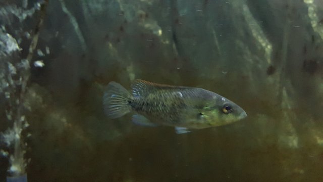 20190217_113557.jpg