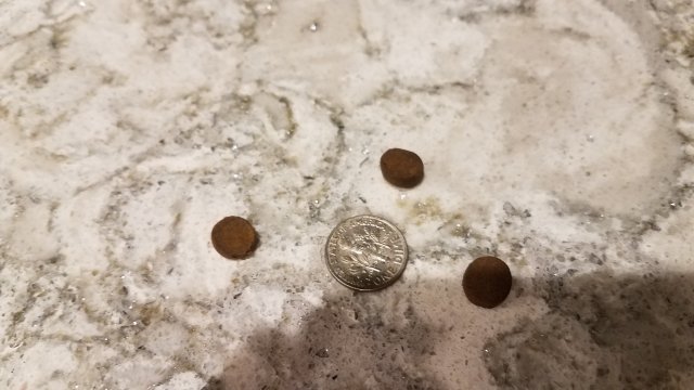 20190218_203858.jpg