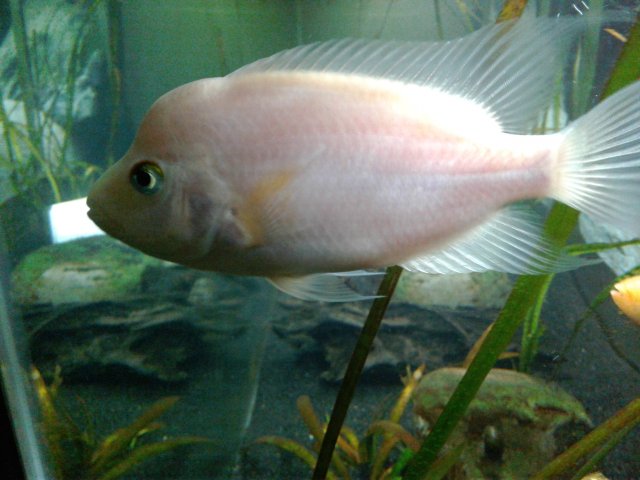 20190201_191951.jpg