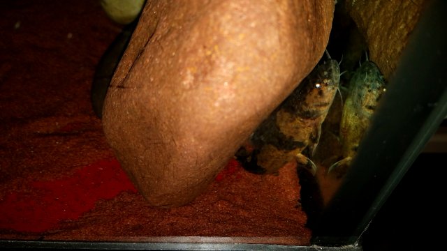 20190219_105054.jpg