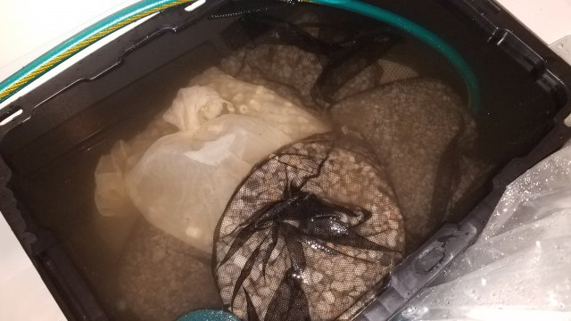20190219_113108.jpg