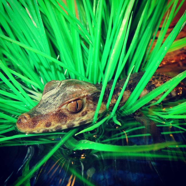 IMG_20190216_001435_017.jpg IMG_20190216_001435_017.jpg