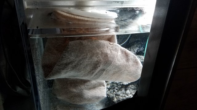20190219_171131.jpg