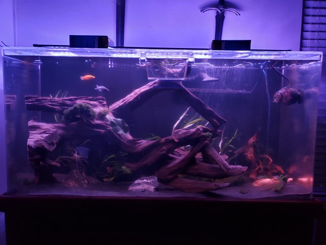 20190219_183618.jpg