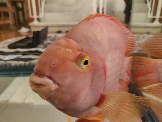 IMG_20190220_000553.jpg