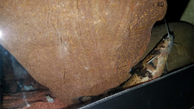 20190220_202527.jpg