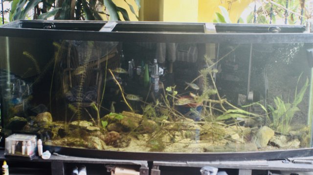 fullsizeoutput_e1e.jpeg fullsizeoutput_e1e.jpeg