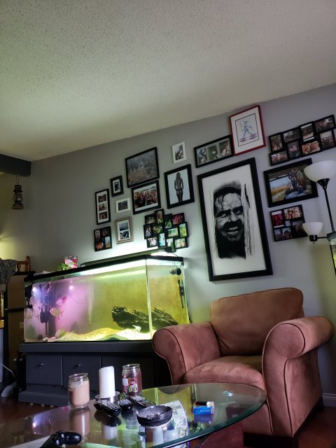 20190116_101151.jpg