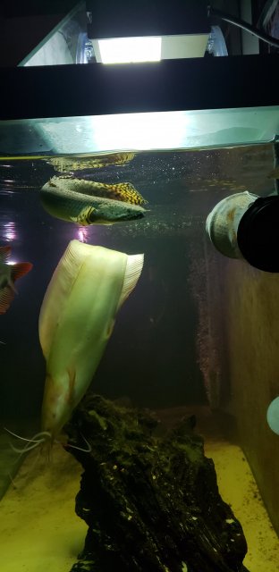20190224_070443.jpg