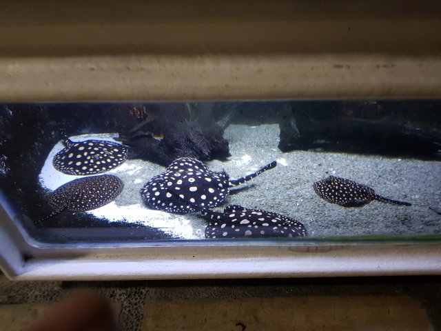20190224_212059.jpg