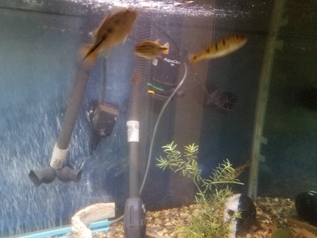 20190224_174259.jpg 20190224_174259.jpg