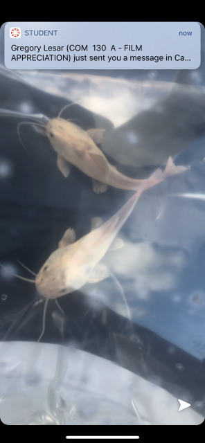 09F0620E-7572-4C85-9BE3-29E635F72660.png