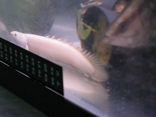 1362731