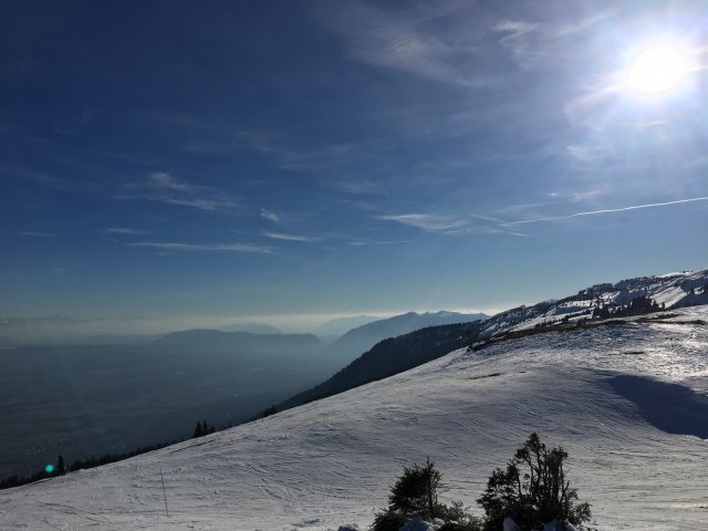 4CADDC2D-224A-46C5-829F-18D31F5CF405.jpeg 4CADDC2D-224A-46C5-829F-18D31F5CF405.jpeg