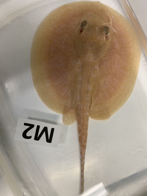 IMG_0470.jpg IMG_0470.jpg