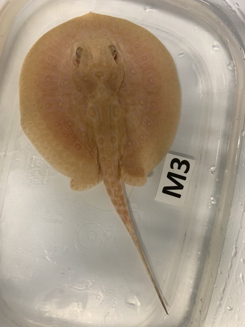 IMG_0473.jpg IMG_0473.jpg