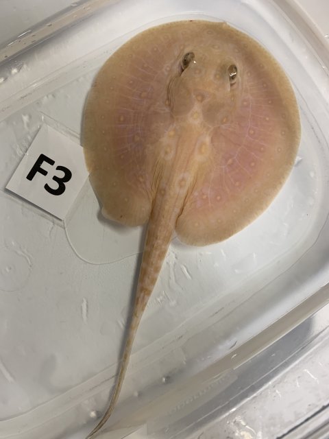 IMG_0491.jpg IMG_0491.jpg