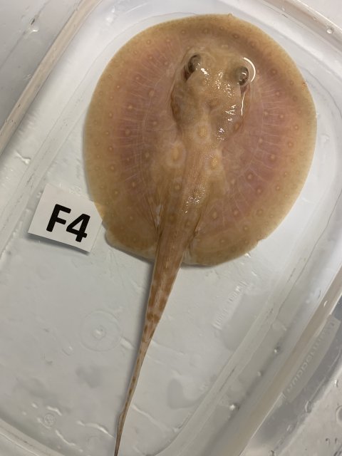 IMG_0498.jpg IMG_0498.jpg