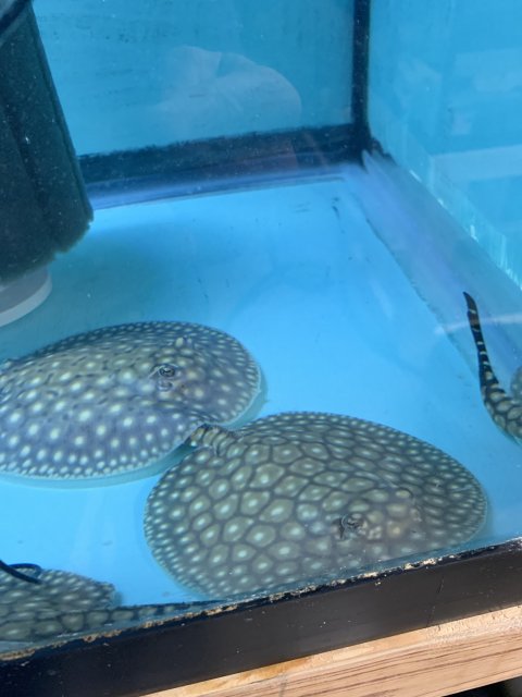 IMG_0511.jpg IMG_0511.jpg