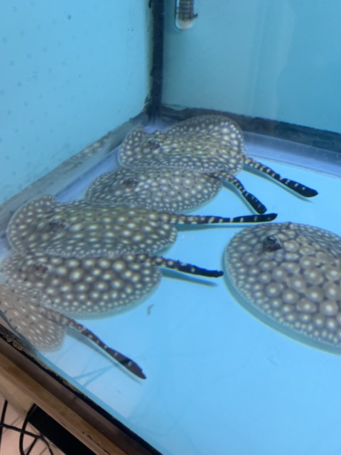 IMG_0513.jpg IMG_0513.jpg