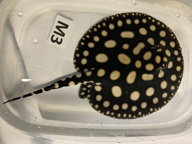 IMG_0541.jpg IMG_0541.jpg