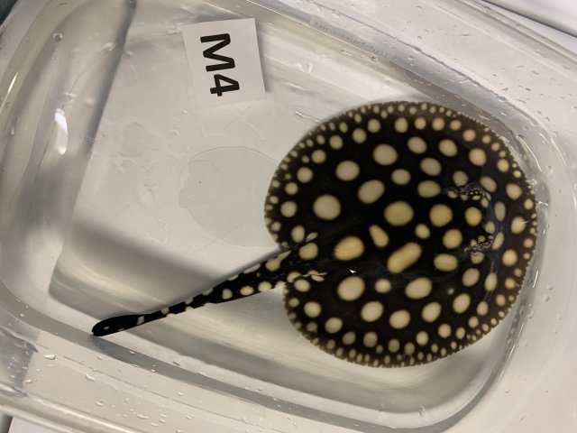 IMG_0543.jpg IMG_0543.jpg