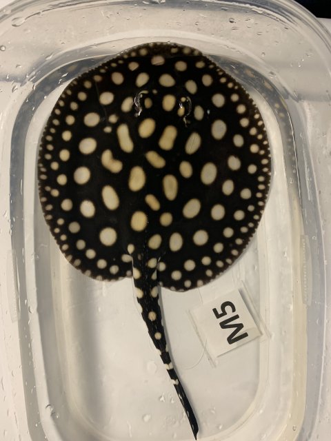 IMG_0547.jpg IMG_0547.jpg