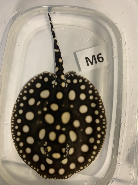 IMG_0563.jpg IMG_0563.jpg