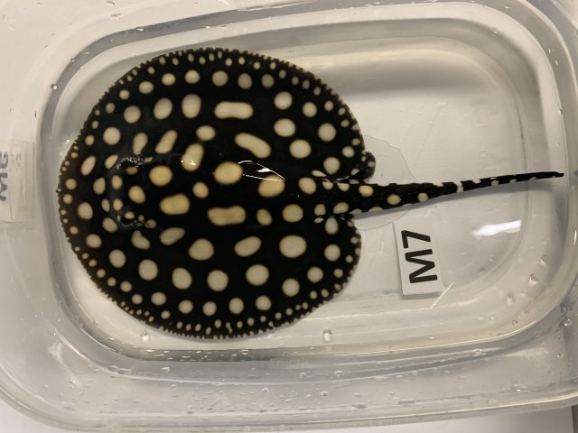 IMG_0571.jpg IMG_0571.jpg