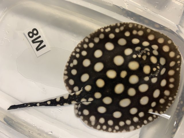 IMG_0580.JPG IMG_0580.JPG