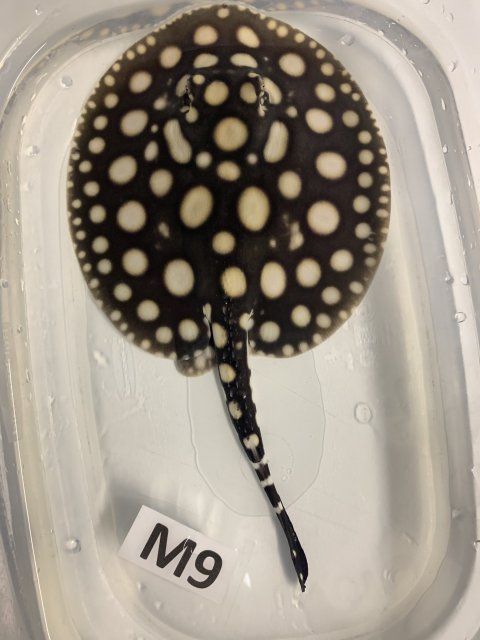 IMG_0584.jpg IMG_0584.jpg