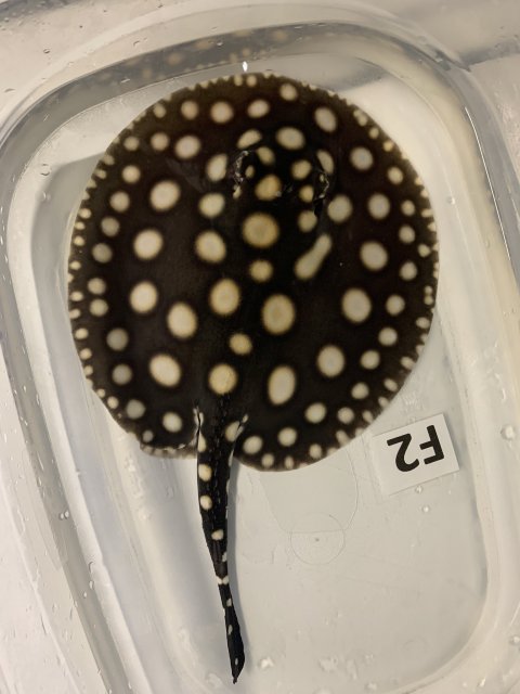 IMG_0602.jpg IMG_0602.jpg