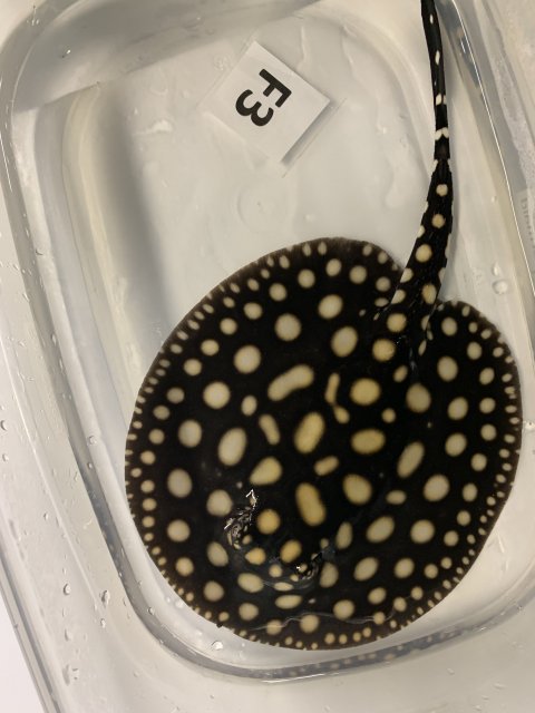 IMG_0612.jpg IMG_0612.jpg