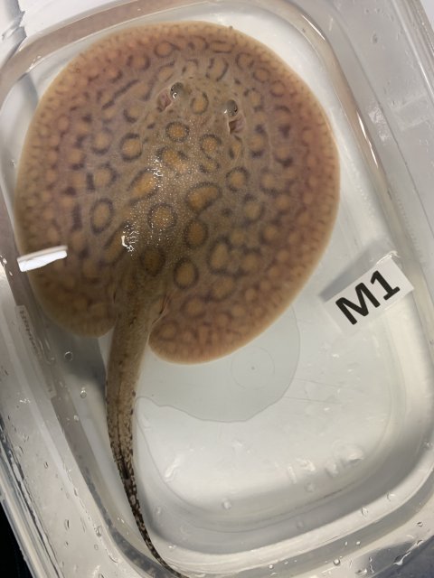 IMG_0654.jpg IMG_0654.jpg