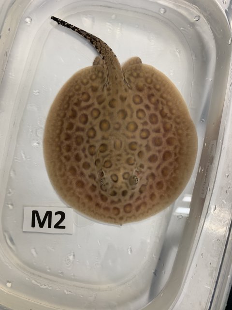 IMG_0658.jpg IMG_0658.jpg