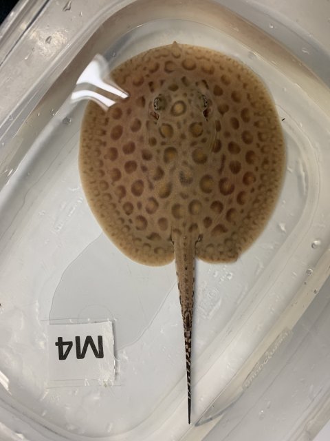 IMG_0698.jpg IMG_0698.jpg