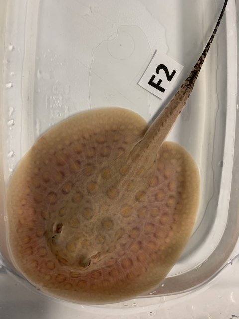 IMG_0728.jpg IMG_0728.jpg