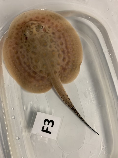 IMG_0734.jpg IMG_0734.jpg