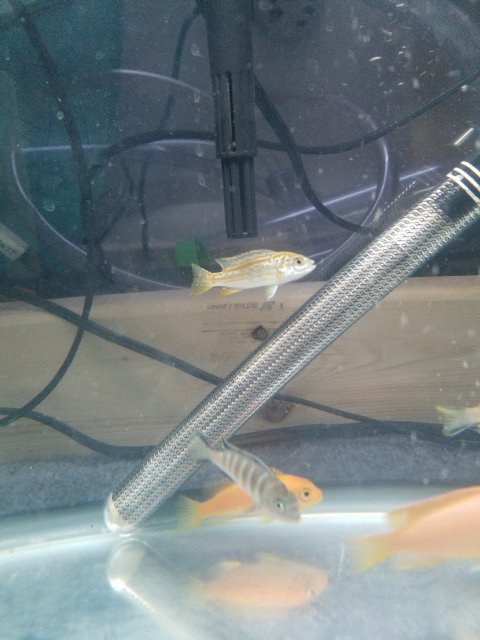 20190306_140052.jpg 20190306_140052.jpg