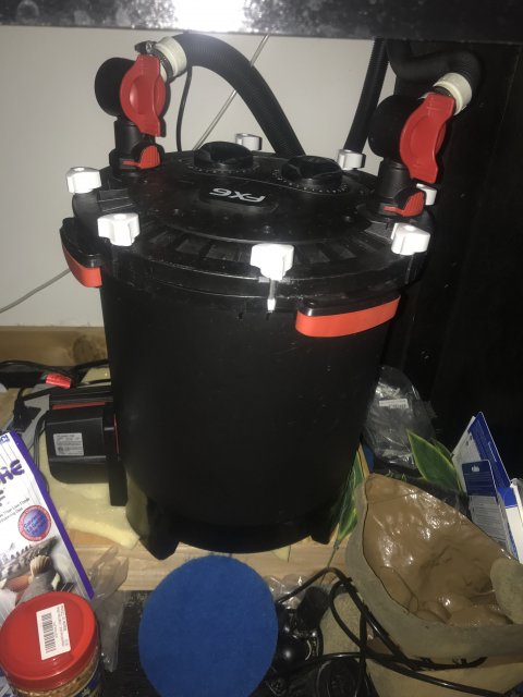image1 (3).jpeg