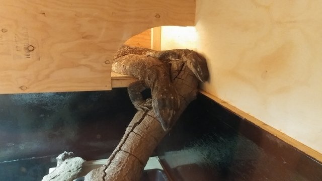 20180619_222000.jpg