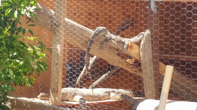 20170416_125159.jpg