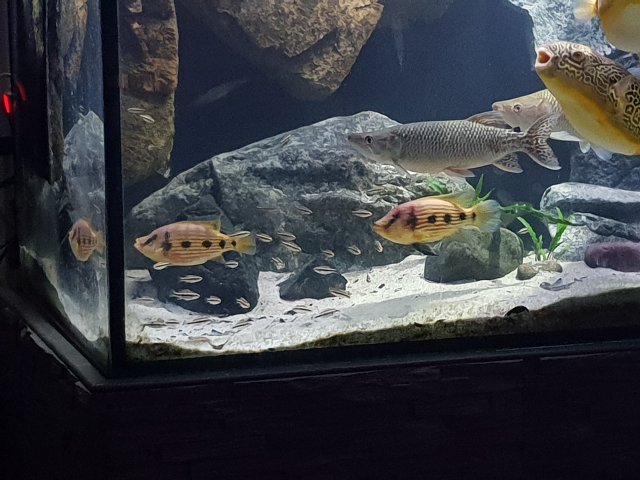 20190201_235600.jpg