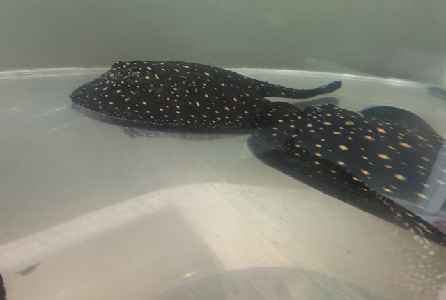 B1B8CA5A-C447-400A-BC22-79548B96E6A2.jpeg B1B8CA5A-C447-400A-BC22-79548B96E6A2.jpeg