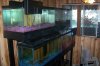 fish and stuff 026.jpg
