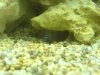 DSC00126.JPG
