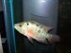 000_0183.JPG
