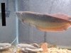 DSCF2617.JPG