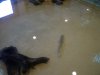 DSC07959.jpg