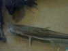 DSC07965.jpg